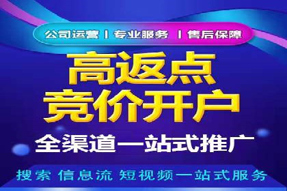 SEM优化实战案例：效果提升策略